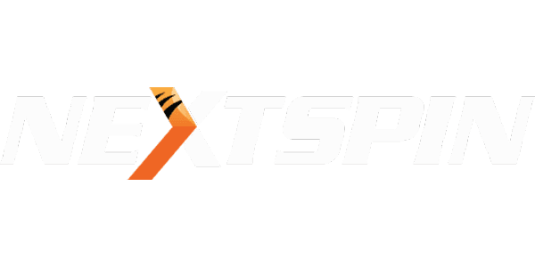 এনএস গেমস